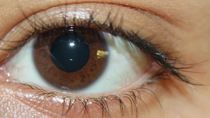 bruine ogen