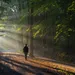 Wandelroutes Drenthe