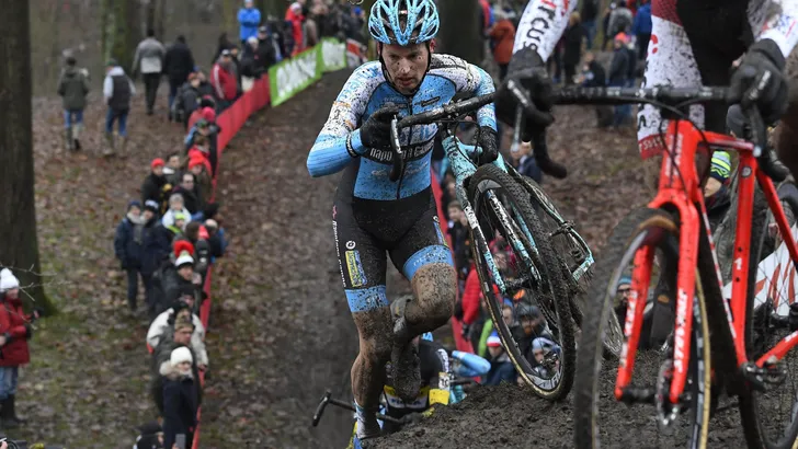 Pauwels
