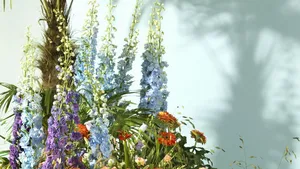 Tuintrend du moment: kleurrijke zomerbloeiers