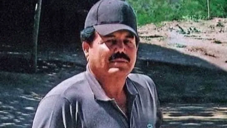 El Mayo