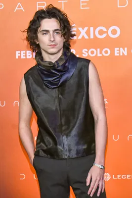 Timothée Chalamet, 2024