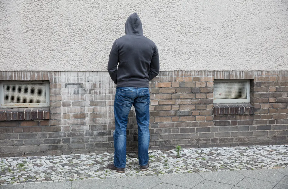 Wildplasser