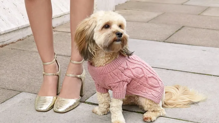 River Island heeft nu ook een collectie voor honden