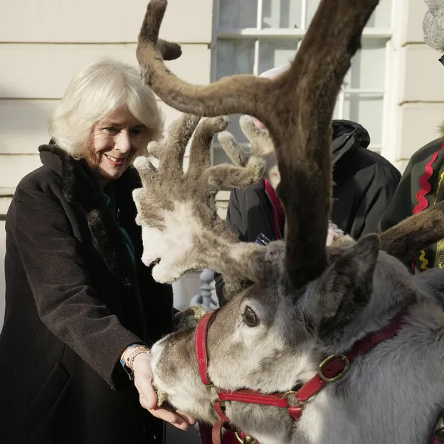 Koninklijke feestdagen: Camilla met kerst