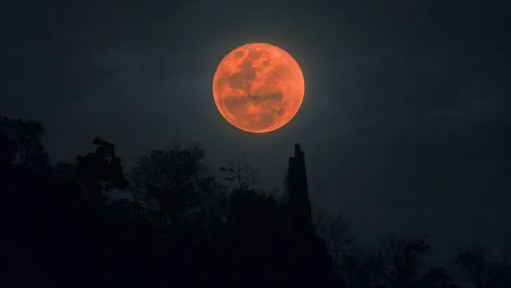 Vroege vogels, er komt een maansverduistering aan! 