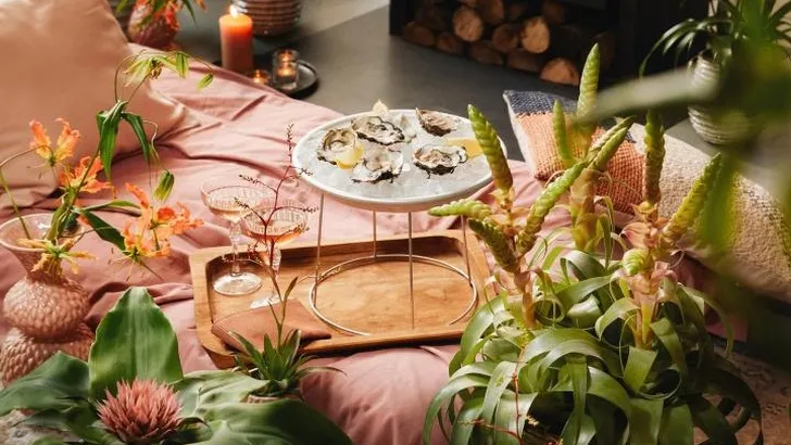 Mooi Wat Planten Doen Valentijn