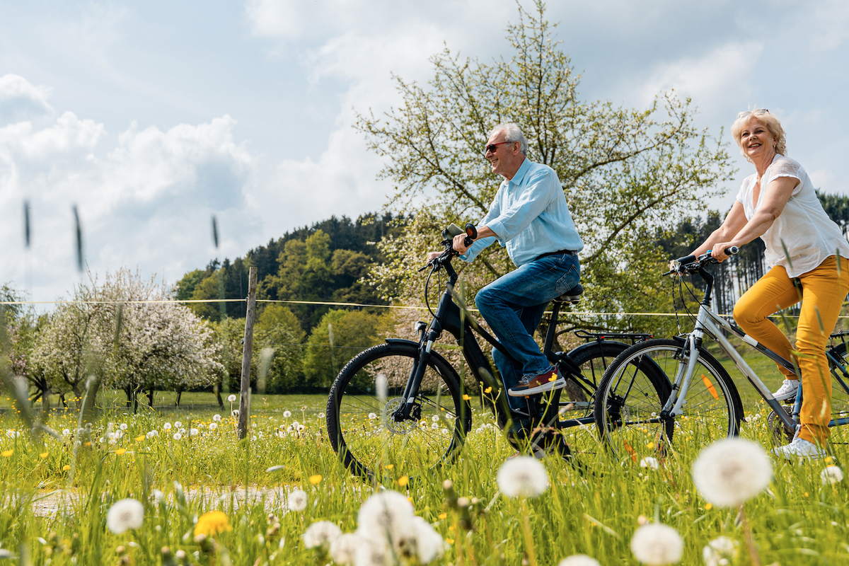 Het is stralend weer: deze 3 mooie fietsroutes wil je niet missen