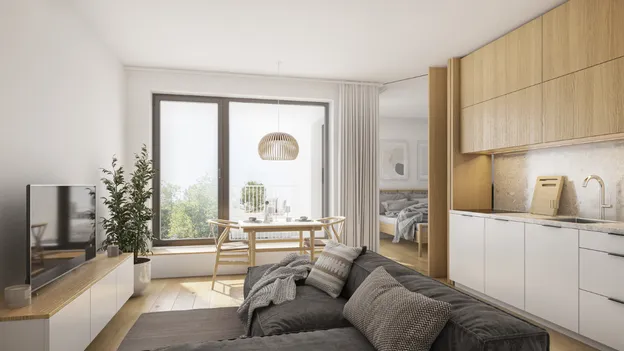 Woonkamerinrichting met keuken en slaapkamer zichtbaar