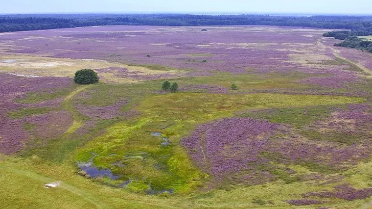 Dít is de Wandelroute van het jaar 2022