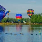 Streek van de Week ballonnenmoord Schijndel NR3820