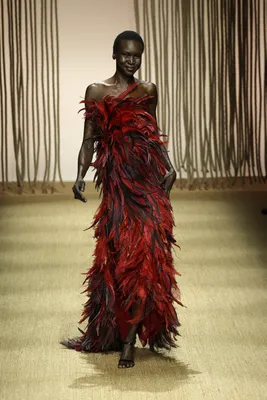 Roberto Cavalli Ready To Wear Spring/Summer 2025