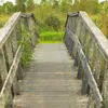Lekker lang wandelen in Friesland: ontdek het Friese Woudenpad | Noorderland