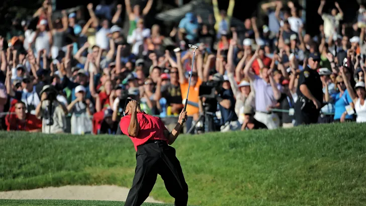 tiger woods