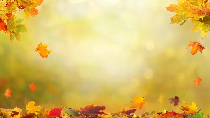 De beste seks heb je in de herfst