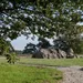 Holtingerveld