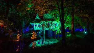 5 lichtfestivals om in je agenda te zetten! 