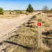 Drents-Friese Wold