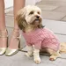 River Island heeft nu ook een collectie voor honden