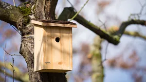 Vogelhuisje