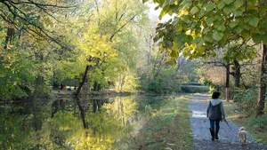 wandelen water vrouw hond