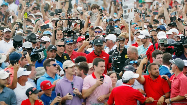 tiger woods