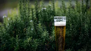 Meewerken aan een beter milieu? Drink een lekker biertje