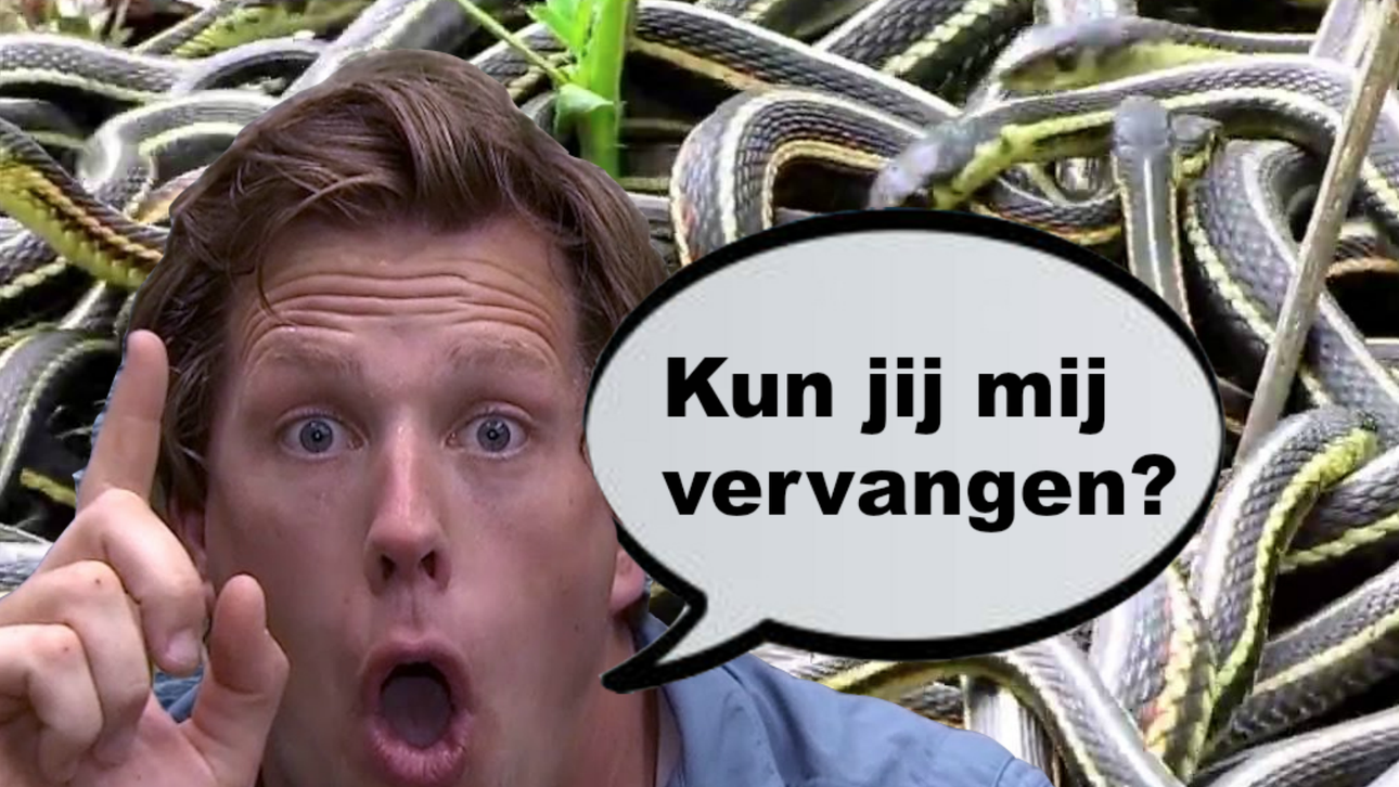 freek vonk