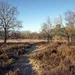 Boswachterspaden