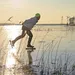 Een zware koudegolf komt eind januari naar Nederland. Dit vergroot de kans op een Elfstedentocht en uitgebreid schaatsen op natuurijs.