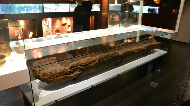 Kano Van Pesse Drents Museum