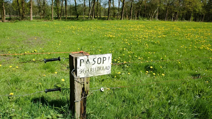 PAS OP! Schrikdraad LOOK OUT! Electric fence