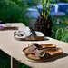 Birkenstock look a like bij Scapino.