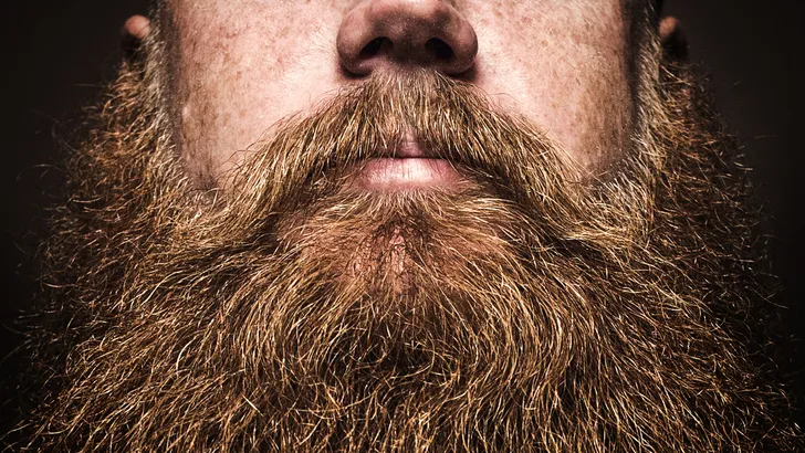 Harige feitjes: alles over je baard