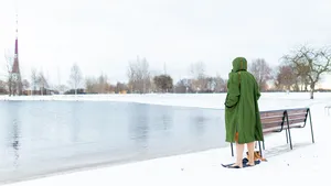 Nieuwjaarsduik