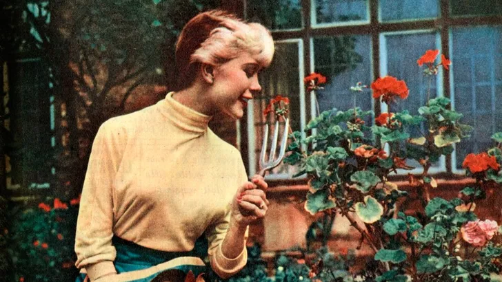 vrouw tuinieren groene tuin 