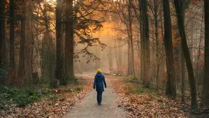 Rustige winterwandeling als onderdeel van een gezonde voorbereiding op de feestdagen