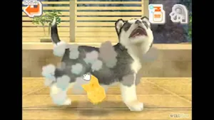 nintemndogs