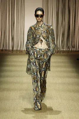 Roberto Cavalli Ready To Wear Spring/Summer 2025