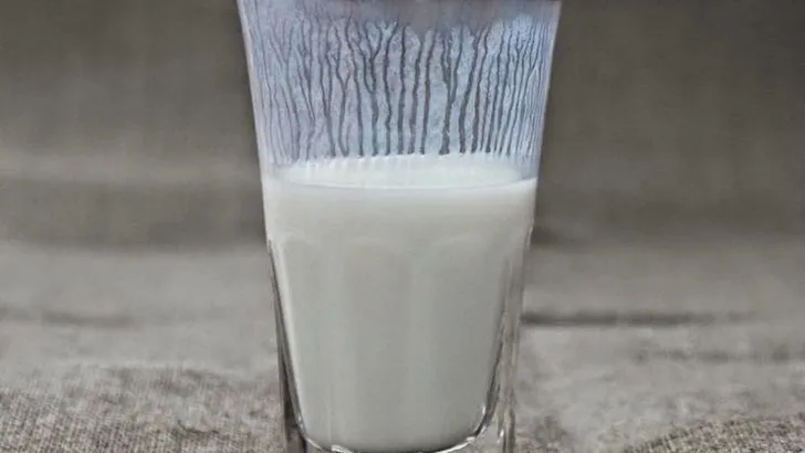 karnemelk