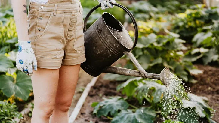 Vrouw met gieter in de tuin - tuinieren