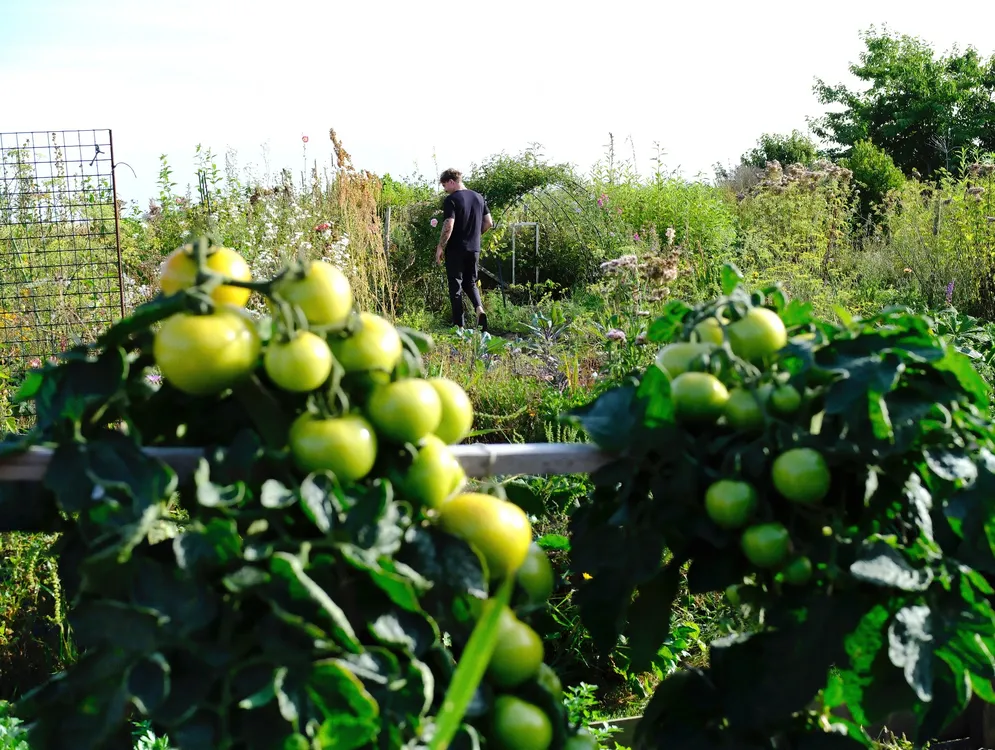 Foto 7 van Branding & Citrus