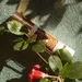 zon huid