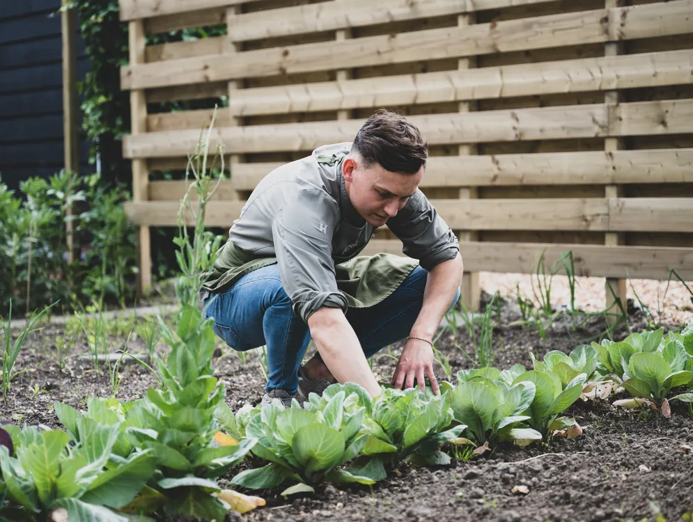 Foto 7 van Restaurant Morille