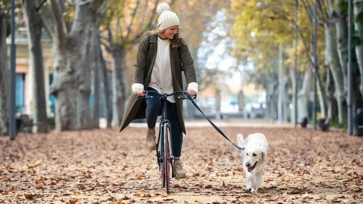 Beautiful young girl riding a bike while walking her dog in the park in autumn.