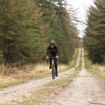 Op avontuur in eigen land: gravelparadijs Veluwe