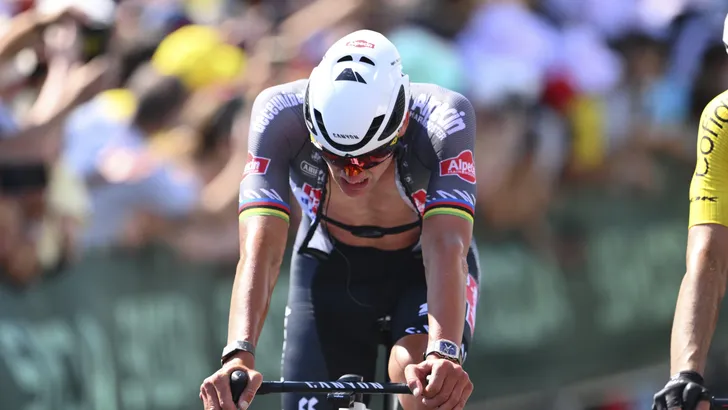 van der poel