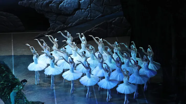 Ballet: het grootste Zwanenmeer ter wereld komt naar Nederland! | Nouveau
