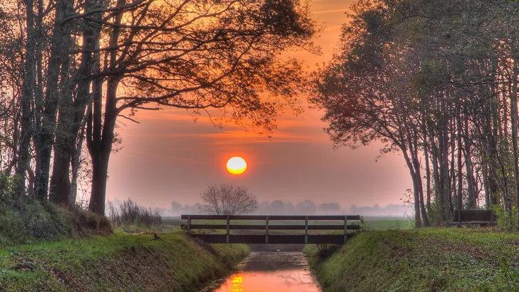 Roege Wilt