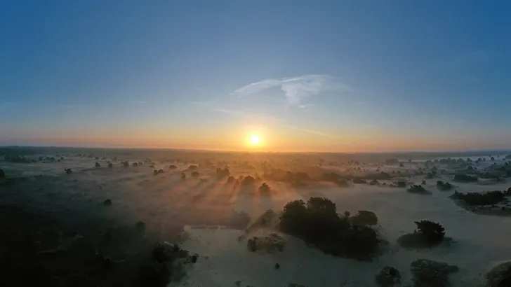 Aerial panorama from the forest Drents Friese Woud in the Netherlands at sunrise